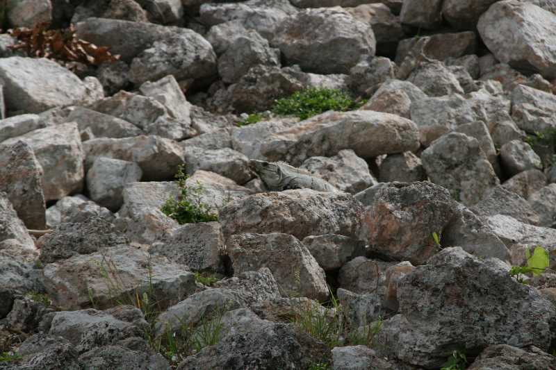 Mexico & Guatemala 2010 - 0168